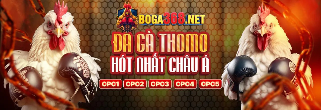 Sân gà trực tuyến bj88vn app