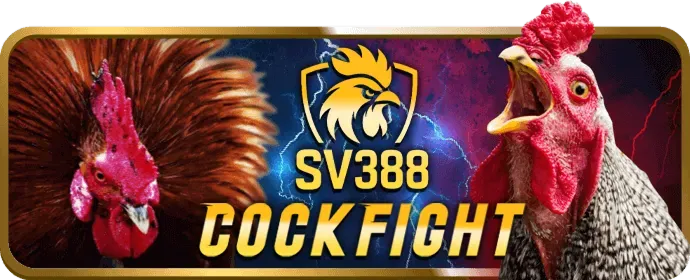 Đá gà cựa dao cựa sắt bj88vn app